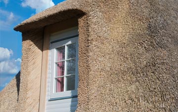 Brackenbottom thatch roof disadvantages